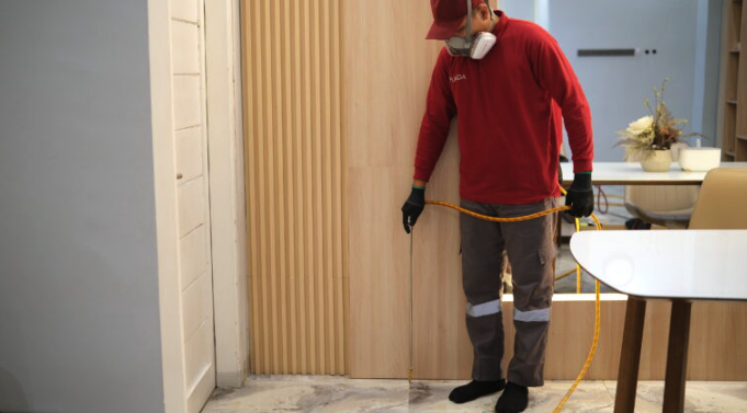 Anti Ribet! Jasa Anti Rayap Semarang yang Hasilnya Bikin Tenang